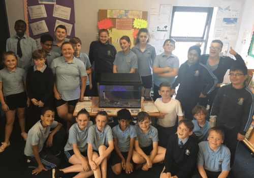 Ms. O'Neill 5th Class Aquarium