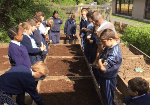 Mr. Lynch 5th Class Green Schools